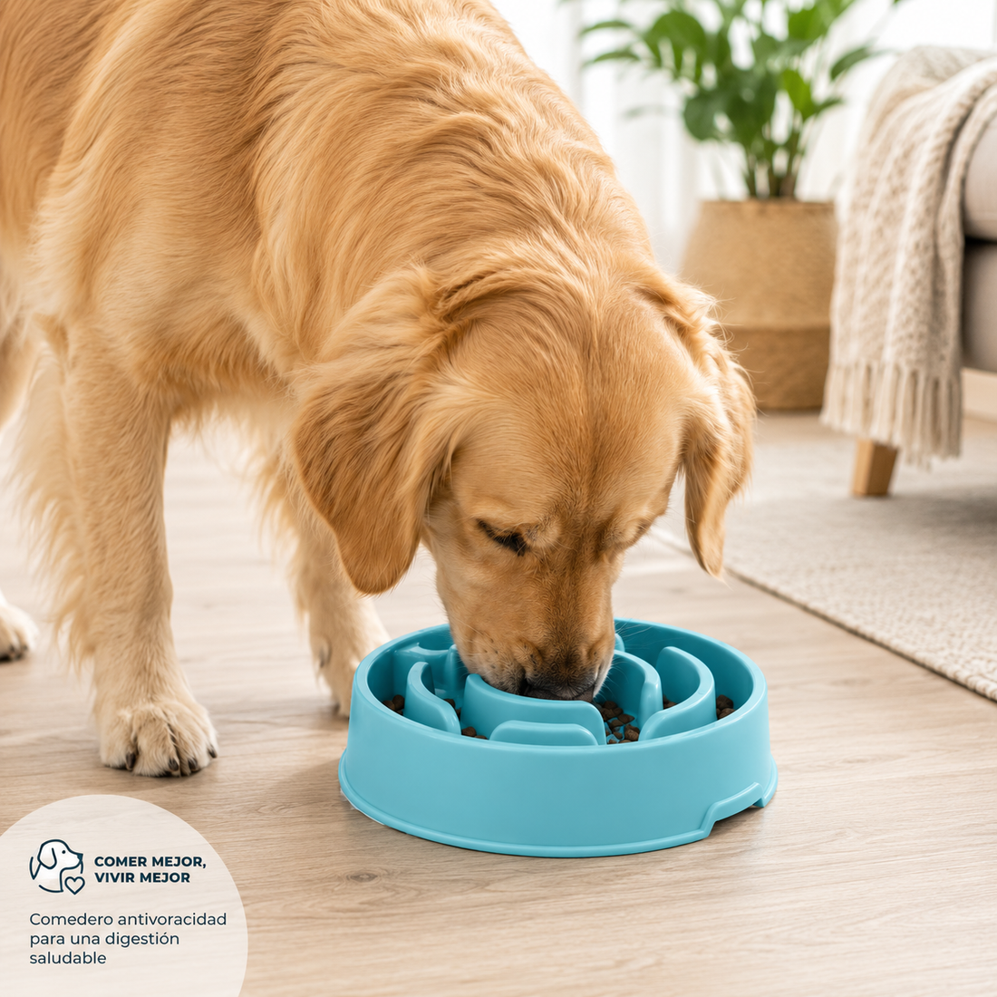 COMO ELEGIR EL MEJOR COMEDERO PARA PERROS 2027